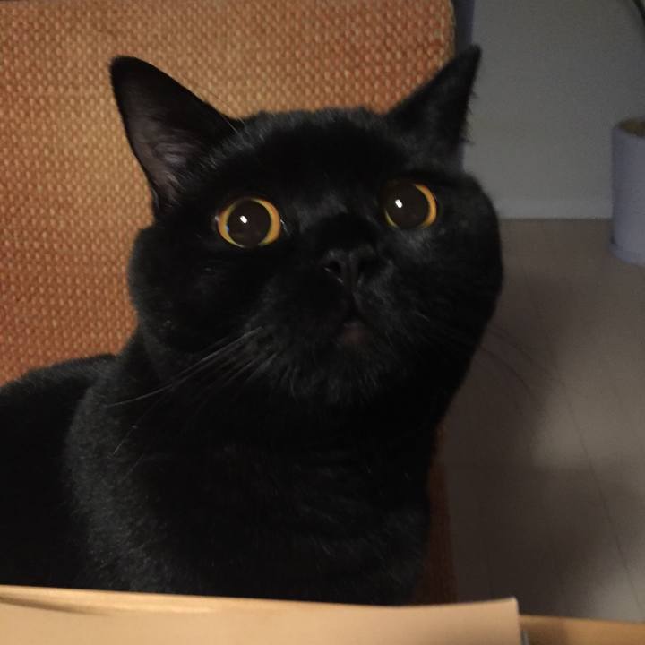 Dc617ab3 d7c4 450c 87e8 9bc890332b99