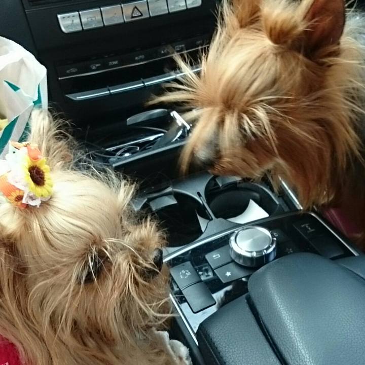 Dc61ad9d c847 4fb2 84d8 7a8bdc6107c0