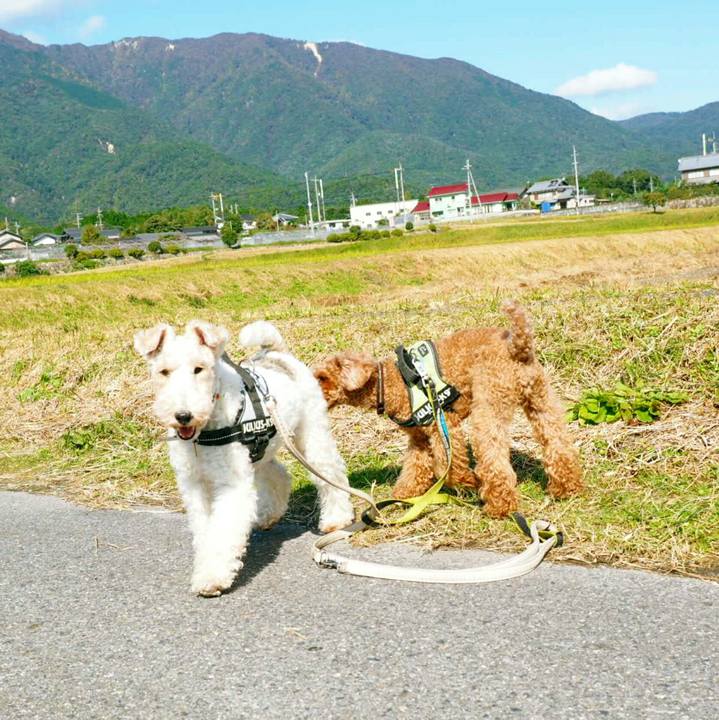 Dc621c20 1dce 4cf7 9dc1 66a97f1754bc