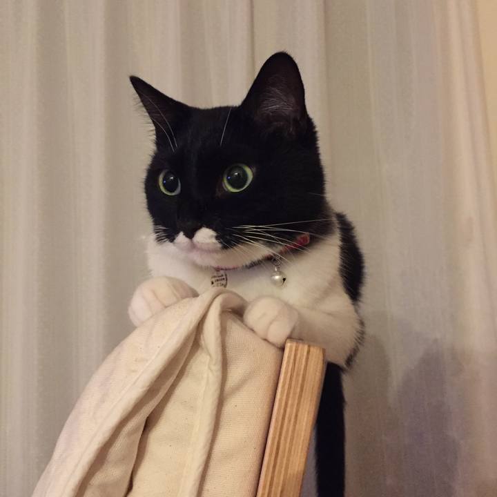 Dc622452 ed7d 43d3 af3a d8ed7f4fafc9