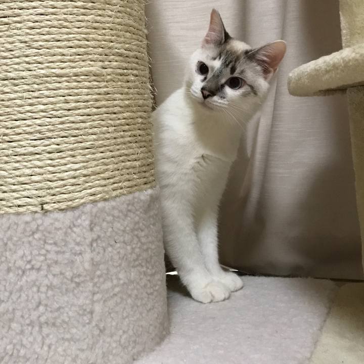 Dc624dc4 38a9 491f a1cb 17e6a1537f71