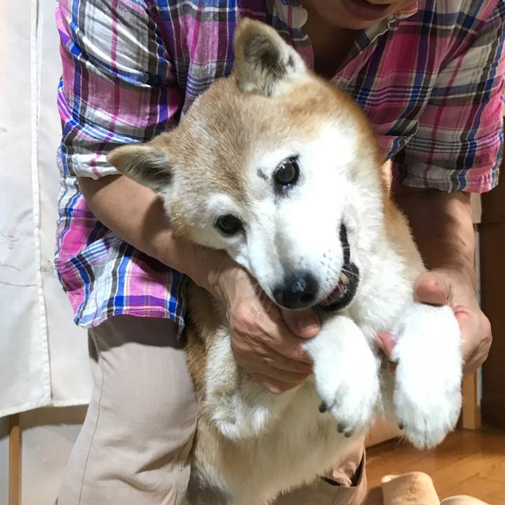 Dc6263e8 e7e8 4bcd 925e e6890e8527f8