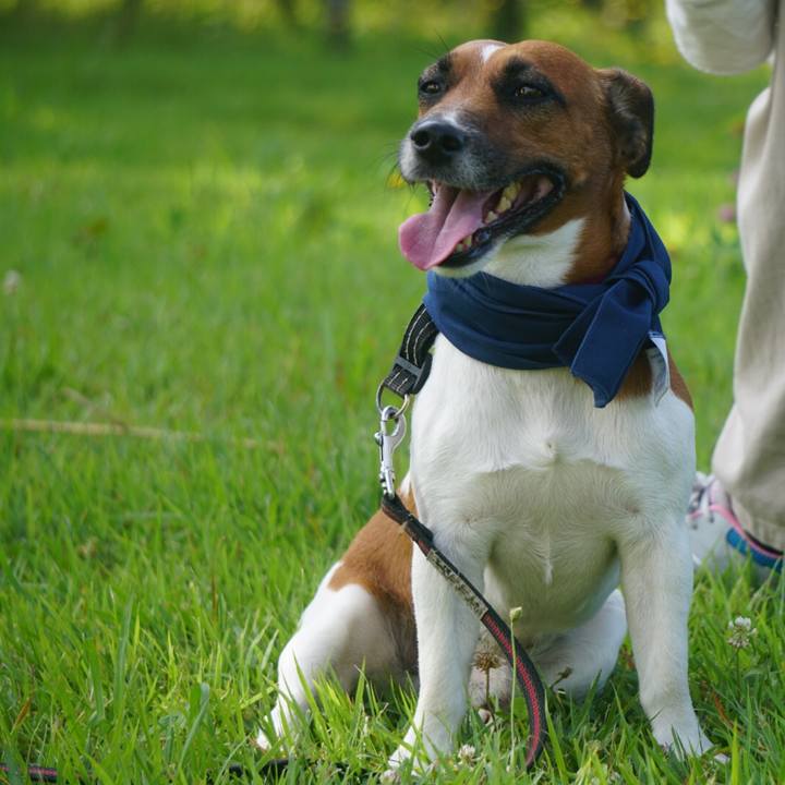 Dc62659c 2396 4f27 9c11 4060cbaf62bd