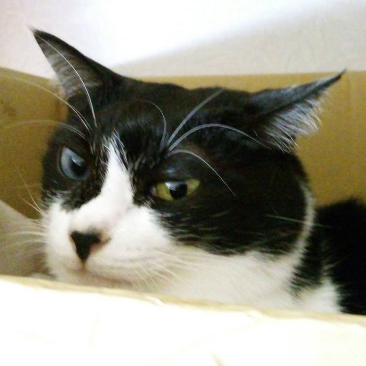 Dc6303ae 2639 4922 a8e5 335efec60eec