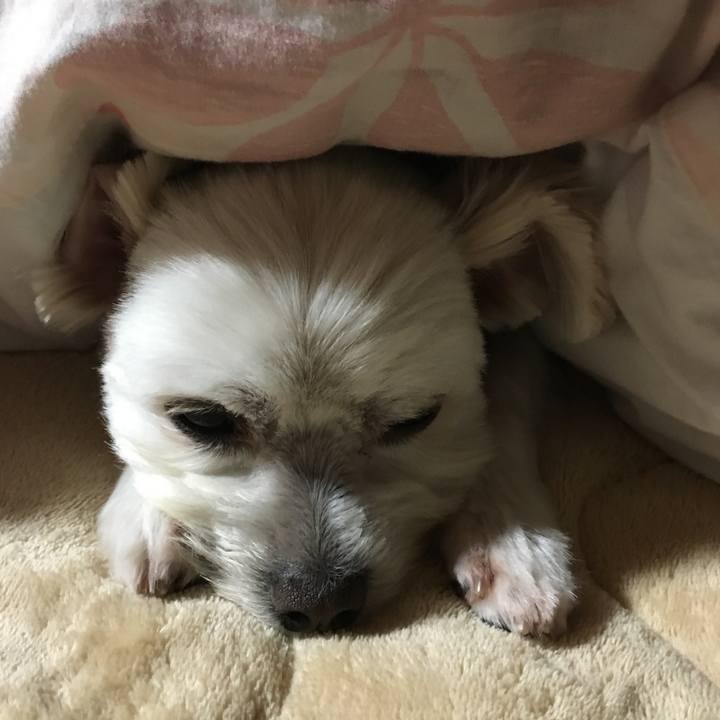 Dc6307f5 6b8f 4f10 a970 1b6fa6a46d6c