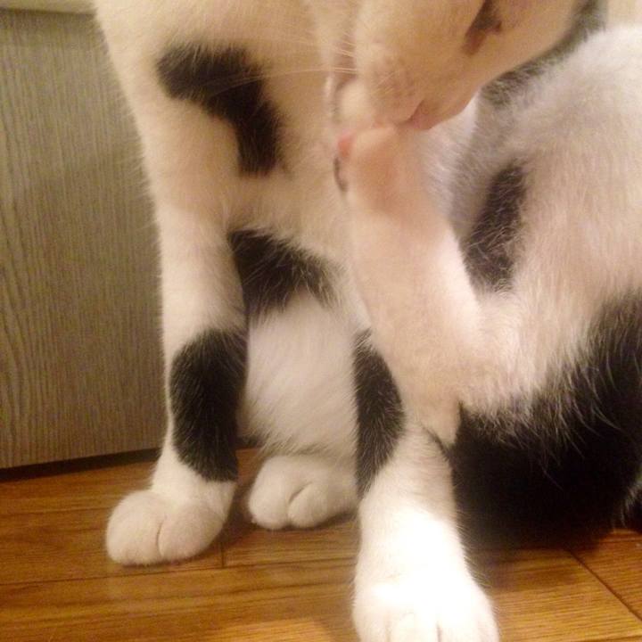 Dc638470 1579 425b a6d4 96bb299465ed