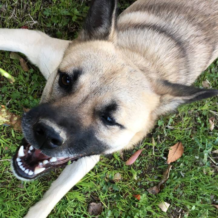 Dc63e10e bbdc 4fdd a5fd a17dd9be5b5d