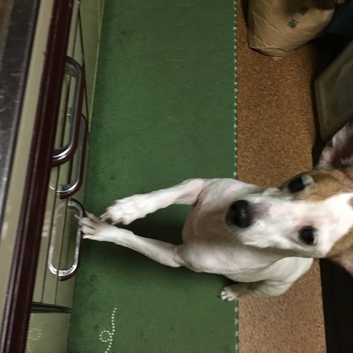 Dc642fc7 1390 4bb3 b86e 700306e06cef