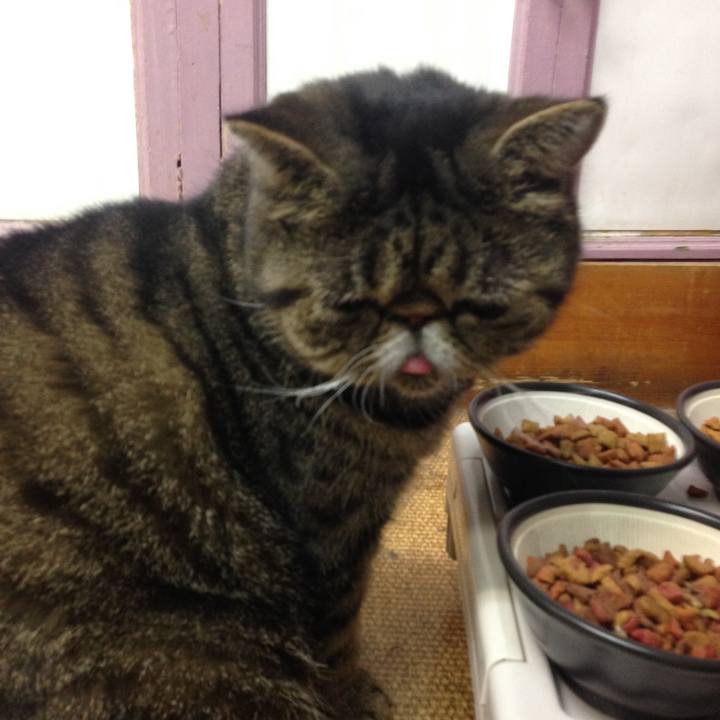 Dc64aff9 0f78 462f 953a 8097779be607