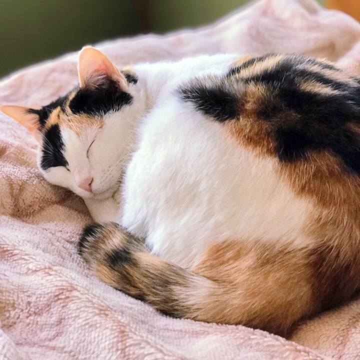 Dc64b670 b21a 4a6f 934b d06a9bb62c49