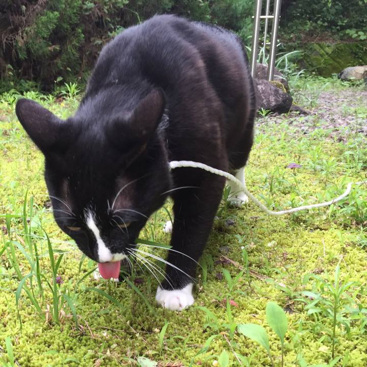 Dc64d5a7 a6a4 4202 9100 909a20fa1ca6