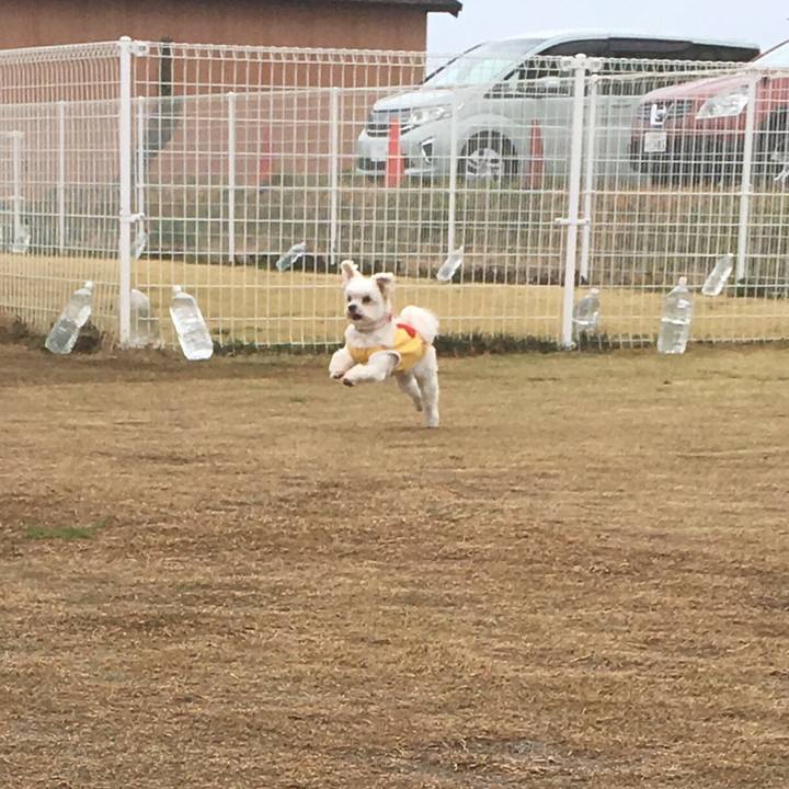 Dc65adfb 6ddb 40f5 8063 b35f1727df42