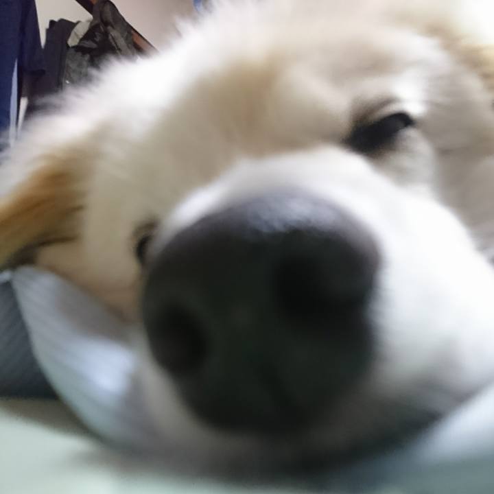 Dc660c7e 92b5 4eb4 a14e 179773d2a15c