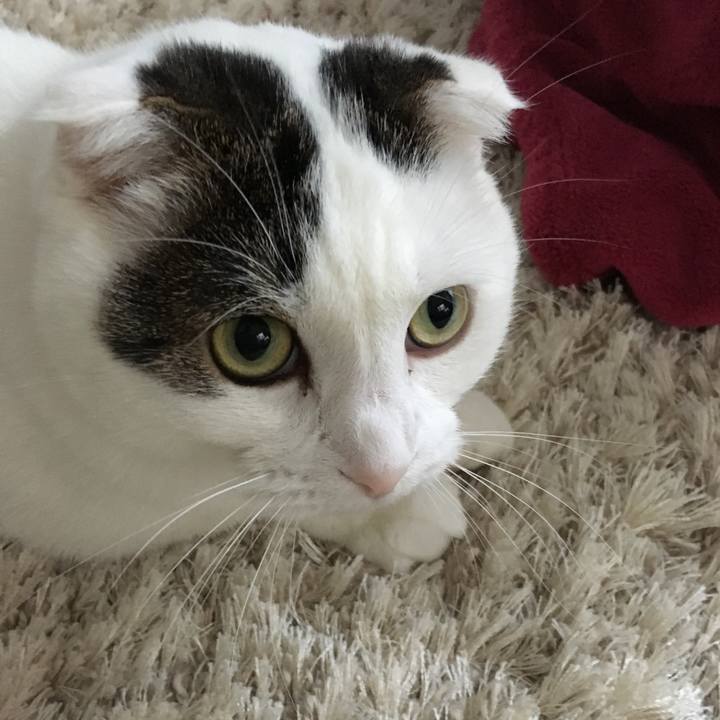 Dc666e1d 790a 4f96 97fe 934e9cd55328