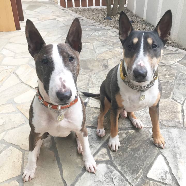 Dc667394 2daf 4cbe 910f 30cc9e496c7f