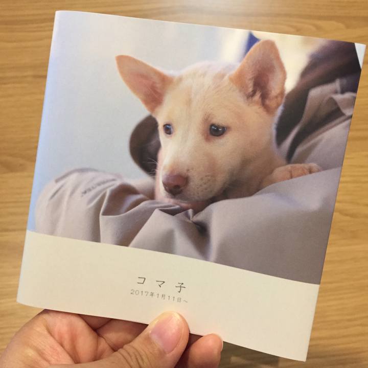 Dc66dbdc 8d5f 4120 9e12 b946fcee5f74