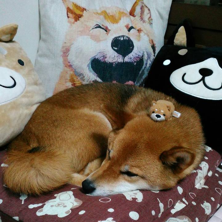 Dc66f742 9d6a 4716 8c31 ed2c9b7f936b