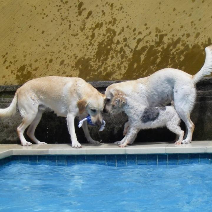 Dc66f9b6 6956 4556 a638 dbf7467a9ee1