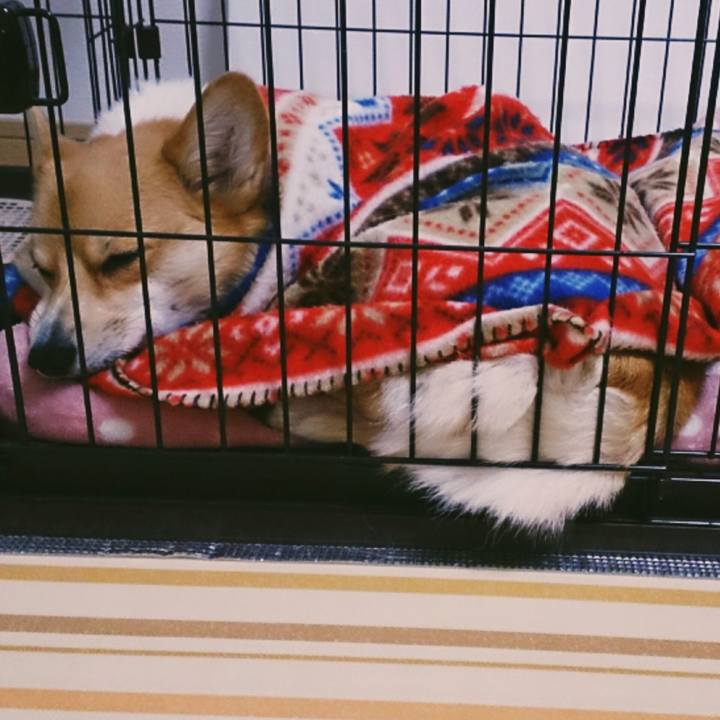 Dc6700af 611f 464c a7f7 720b94abfed8