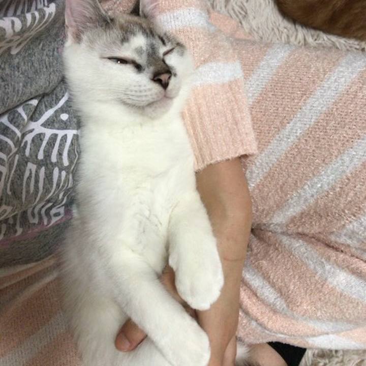 Dc670cd1 ba01 495d 9823 a629dc385e6b