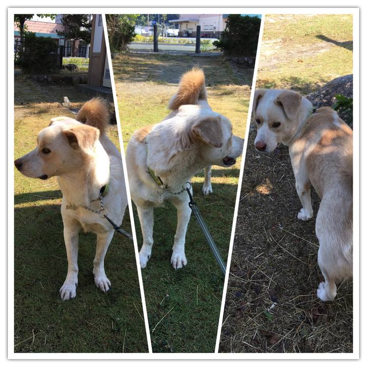 Dc674052 eb46 4cfc 9e39 6660932dfa36