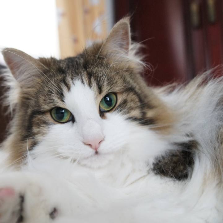 Dc68d8d0 9e6d 4c04 a6cf 3ad3b5baa6e7