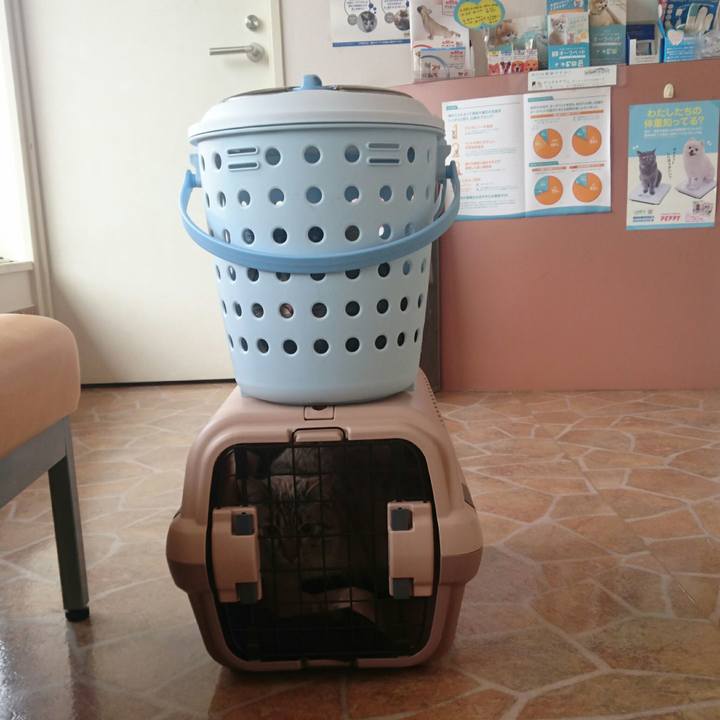 Dc690b16 53c0 4f91 ba81 0e3f5e1859b5