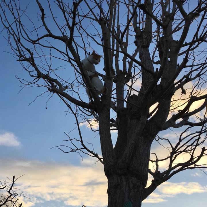 Dc6975e9 bb79 44e7 a41b df33ff851326