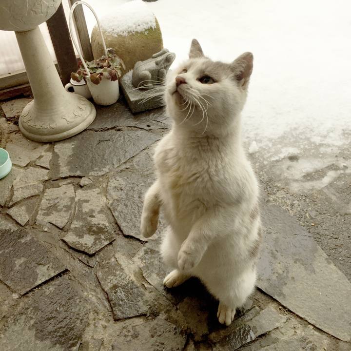 Dc69bb65 4090 4d52 a373 6400cf48b8be