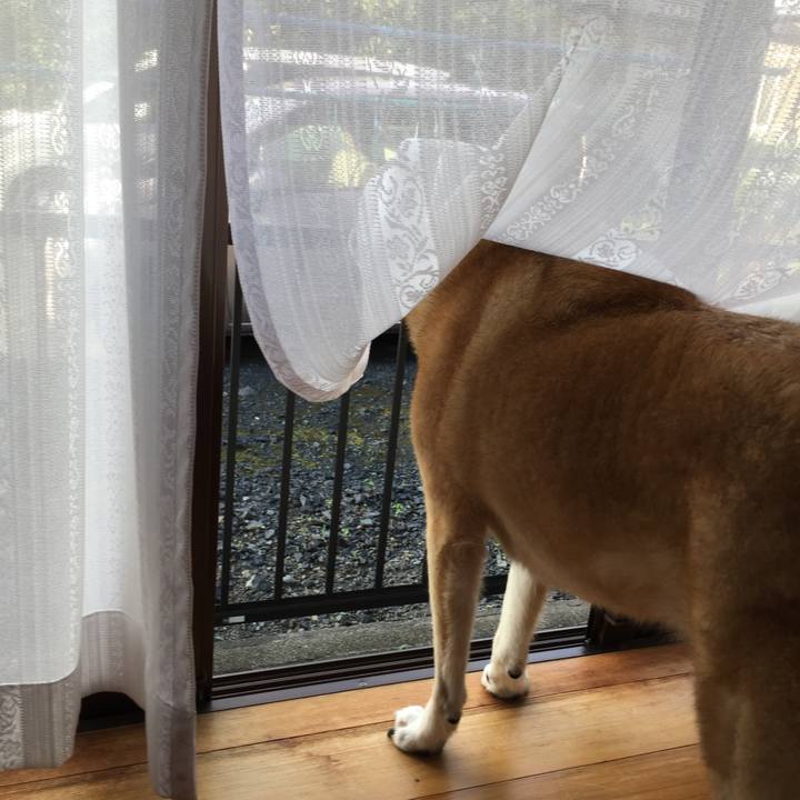 Dc6a453a fcb4 444b a538 b33062705abb