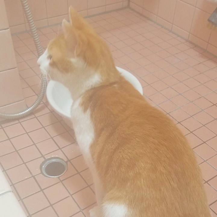 Dc6a6069 1045 47b6 a134 bb4a6ecbbc74