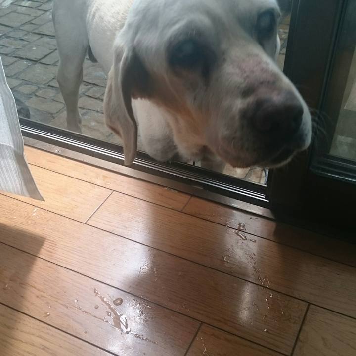 Dc6a7c25 fe00 4247 931b d0805c84dfa5