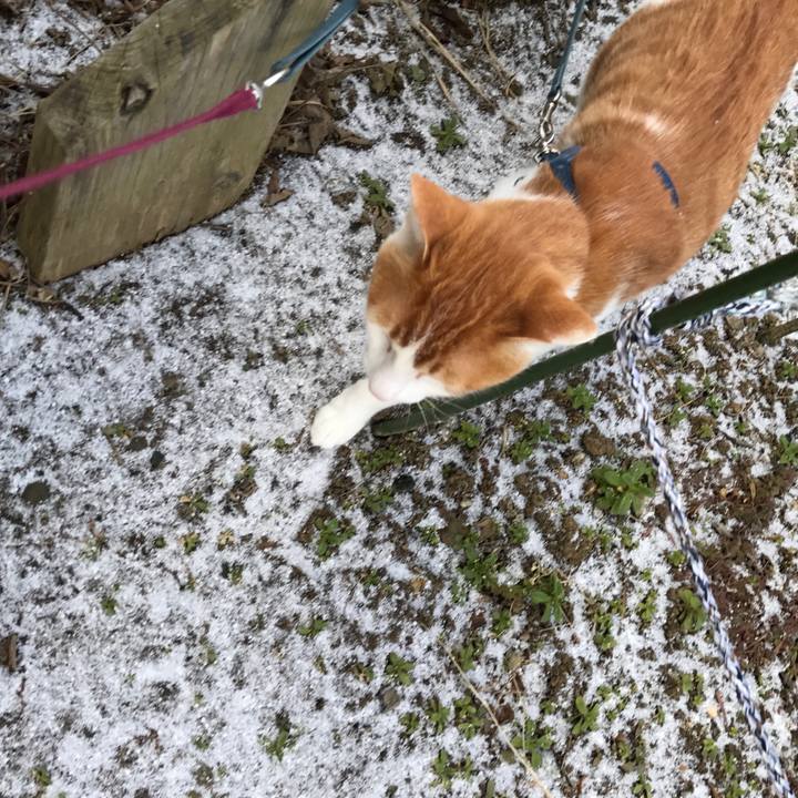 Dc6ac23c d150 4390 9a88 008493ece2de