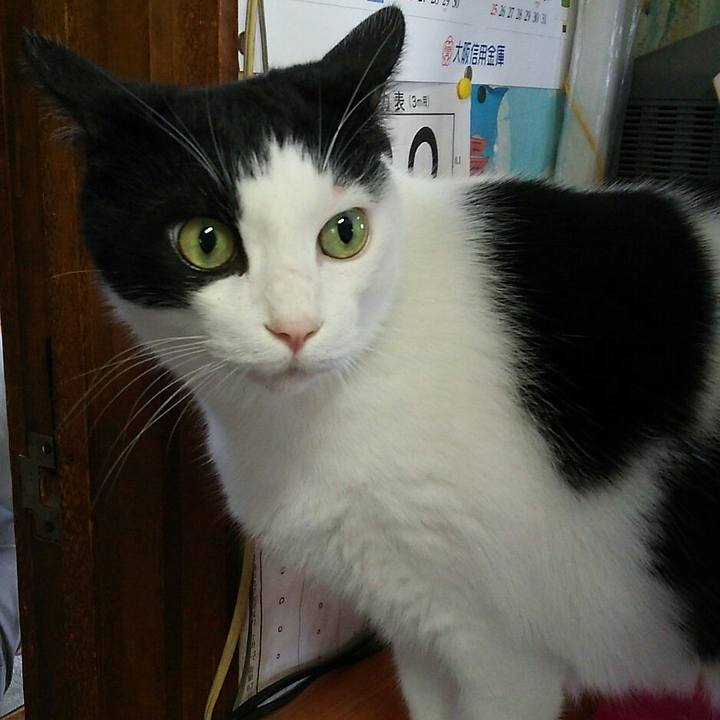 Dc6ae9eb 8d13 48da 9ddc c73d9727a89d