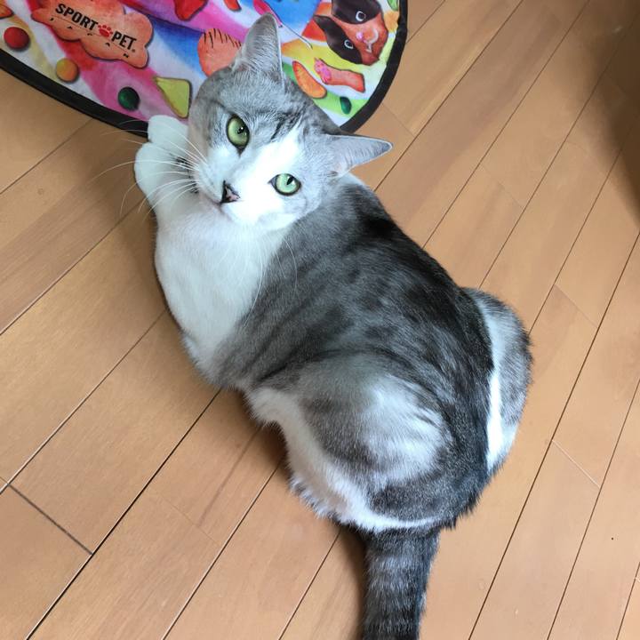 Dc6b0b0f 68d1 4e65 b196 e37488d66600