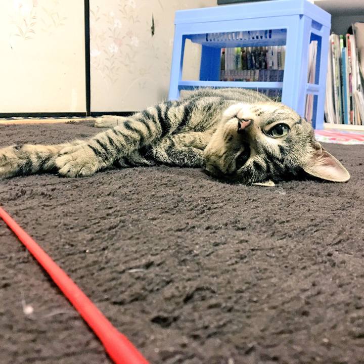 Dc6c12da 7f99 4e5f 9b7f ae58a089c5a3