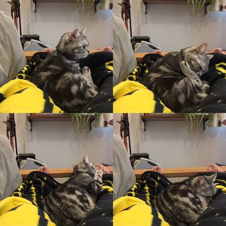 Dc6dd96d 3e5b 423f 8a17 39c5f7c8b8dc