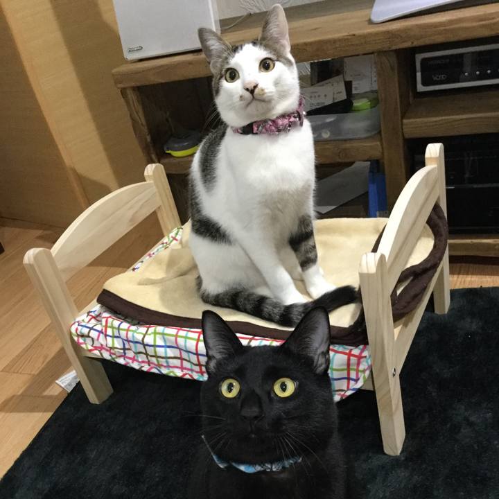 Dc6e481a ff74 468b 8573 d058438a7b4e