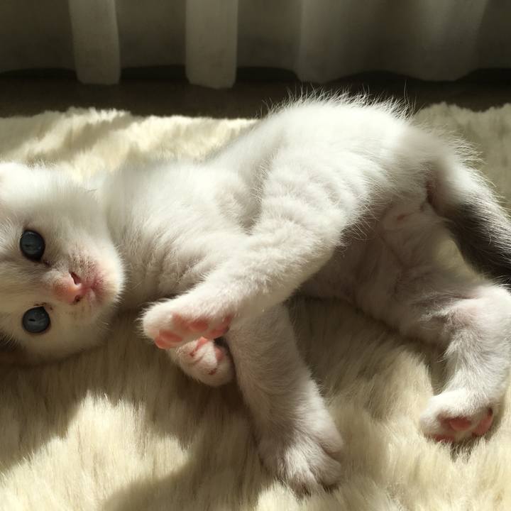 Dc6f2765 2dc0 4448 a34d 4abe584db350