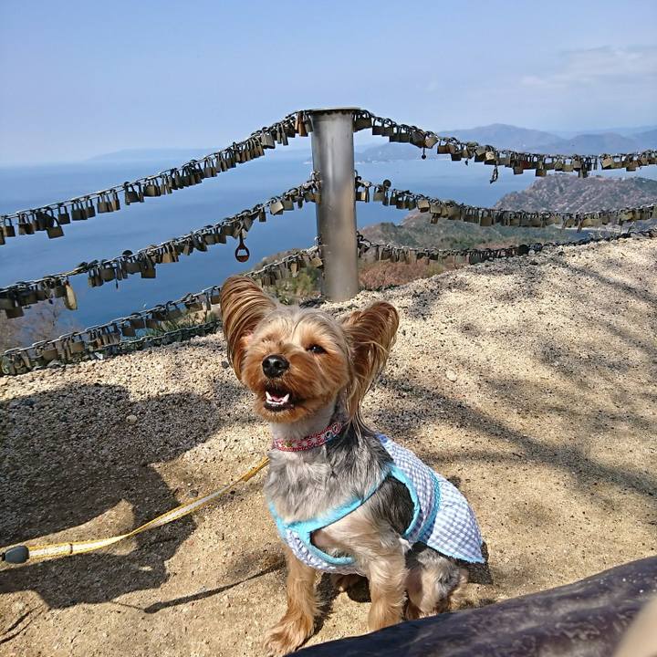 Dc6f3fb3 e9b8 48a8 890b 57e1236fafe5