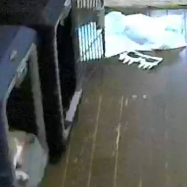 Dc6f4fa1 187a 456e b67e 7d5cc4c89eba