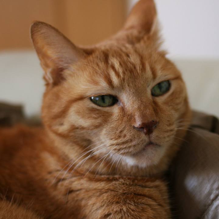 Dc6f5b22 1a16 4eee 9e65 1a059891b155