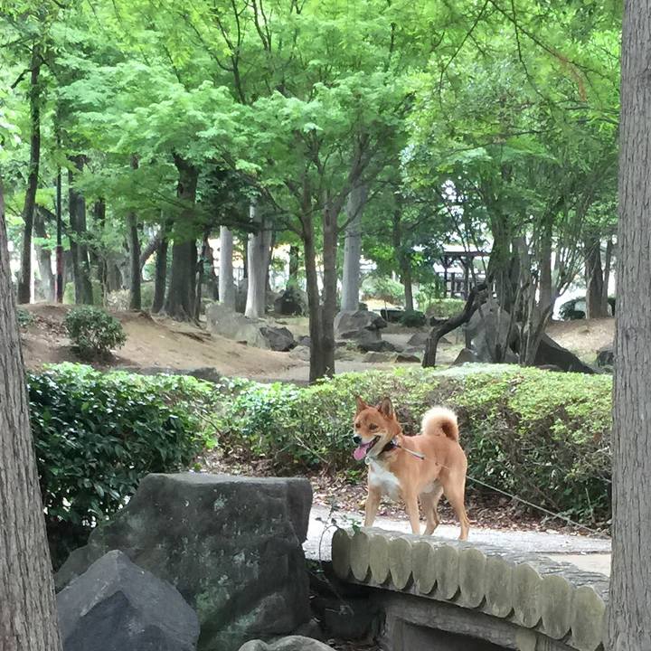 Dc700cd3 6754 48a0 9a15 62a7b3555fea