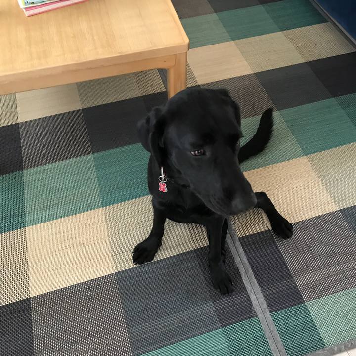 Dc704310 6b0d 42e2 b081 4042bb7094b9