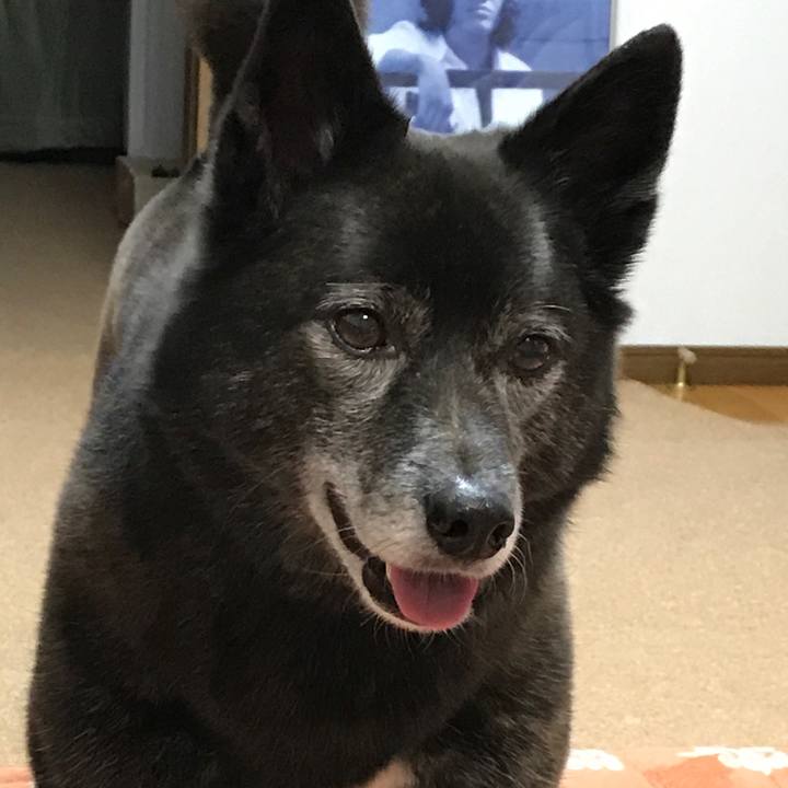 Dc709dbc 6c92 46d0 9fbc c788e9f2af07