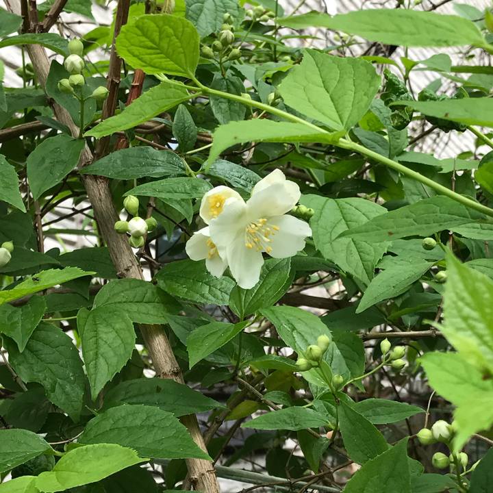 Dc712fa6 28db 48e3 b988 bd2ebaec87dc