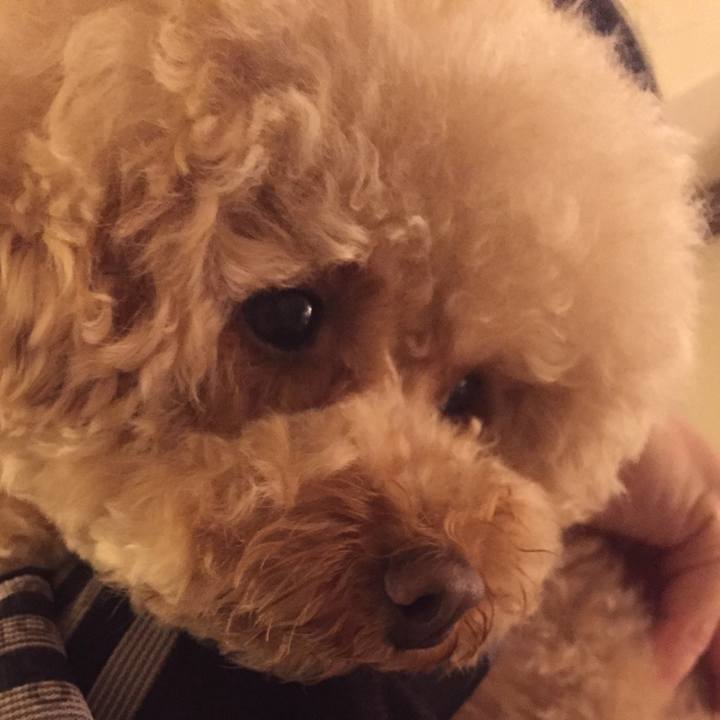 Dc714551 130a 4850 b5b8 d58afb538fa2