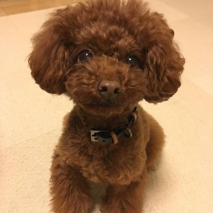 Dc71d52e 9f6e 4644 a24d 6665ef31983d