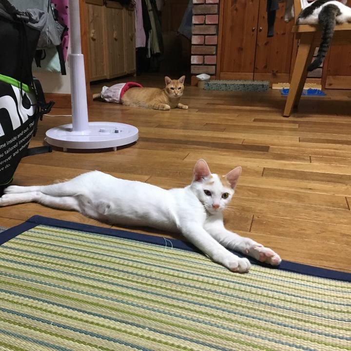 Dc71eb8f 9758 418f 95a9 1753246e258e