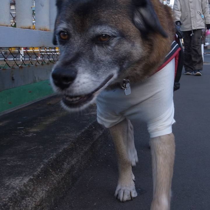 Dc731a75 1479 4253 9cc2 875b7df1ed0b